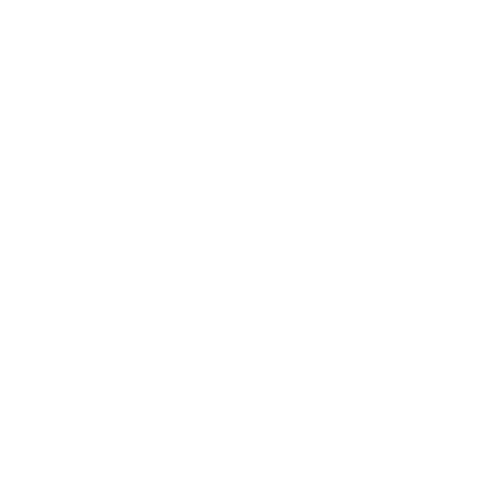 THE SOLE